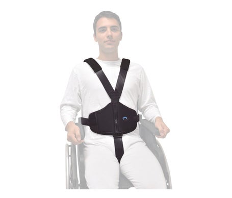 Ayudas Dinámicas Cinturón Integral 1ud