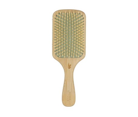Beter Cepillo Neumático Paddle Bamwood