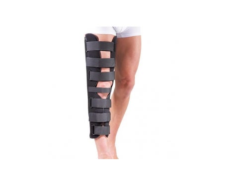 Gibaud Attel Knee 4212 20° T1