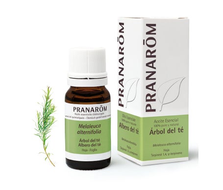 Pranarôm Aceite Esencial de Árbol de Té 10ml