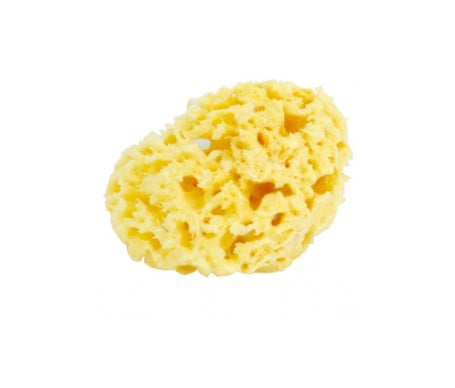 Estipharm Spongey Thumb Nat Thumb Mm