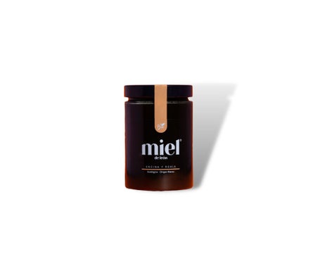 Miel de León Miel de Encina y Roble Ecológica 450g