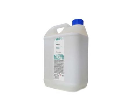 Terpenic Gel Hidroalcohólico Higienizante Aloe 5L