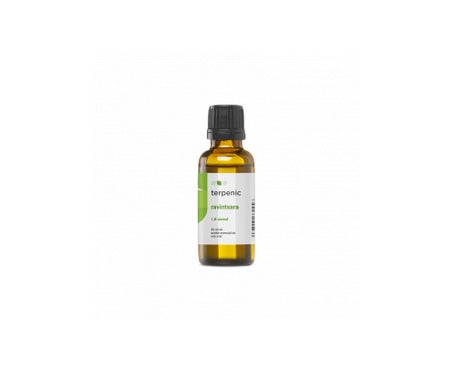 Terpenic Ravintsara 30ml