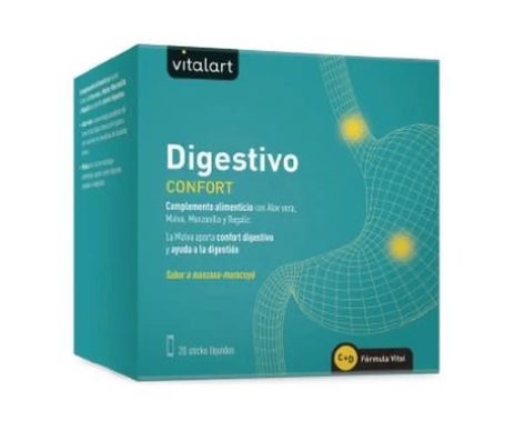 Vitalart Digestivo 20 Stick