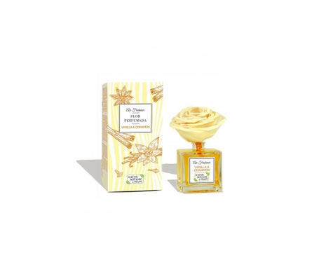 Natur Botanic Ambientador Flor Perfumada Vainilla Canela 90ml