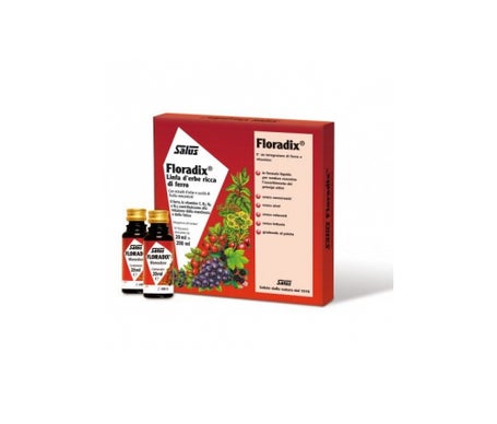 Floradix-Hierro 10 Botella20Ml