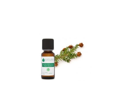 Voshuiles Aceite Esencial de Tsuga de Canadá 5ml