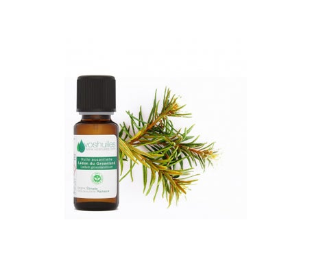 Voshuiles Aceite Esencial de Te de Labrador 5ml