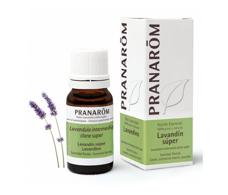 Pranarôm Aceite Esencial de Lavandín Súper 10ml
