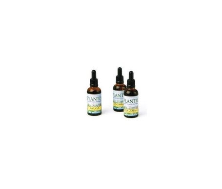Plantis Extracto Zarzaparrilla 50ml