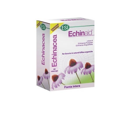 Echinaid Alta Potencia 60Cps