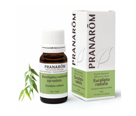 Pranarôm Aceite Esencial de Eucalipto Radiata 10ml