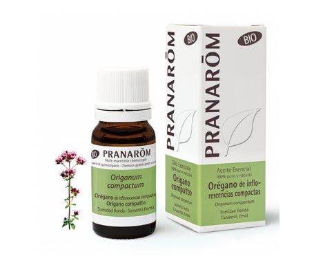 Pranarôm Aceite Esencial de Orégano de Inflorescencias Compactas BIO 10ml