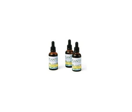 Plantis Ginkgo 50ml