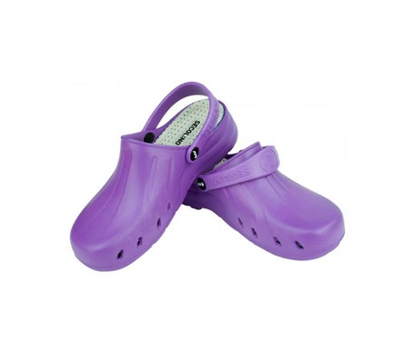 Secolino Zueco Unisex Negro T37 1 Par