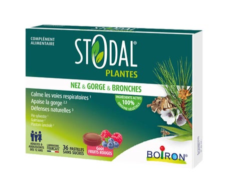 Stodal Plantas Nariz & Garganta & Bronquios Frutos Rojos 36comp