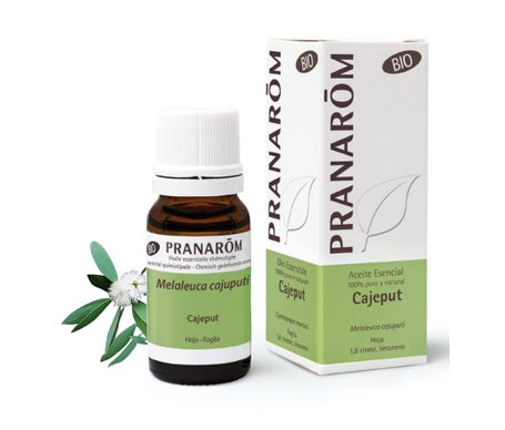 Pranarôm Aceite Esencial de Cajeput BIO 10ml