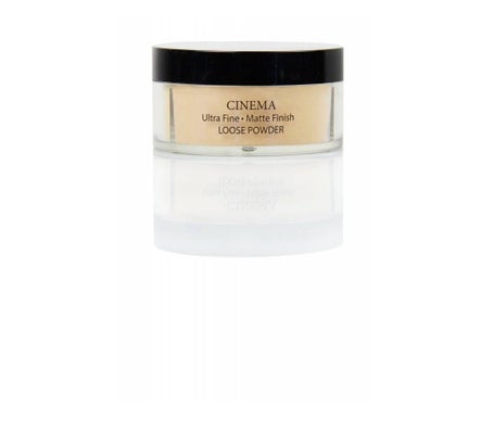 Delfy Polvos Sueltos Translúcidos Matificantes Color 040 30g