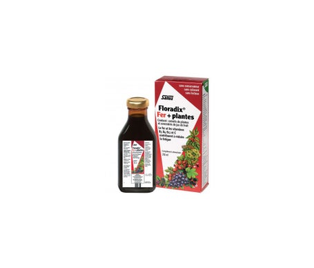 Floradix Fer + Plante 250ml