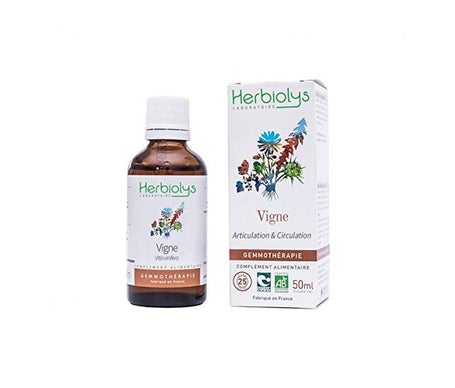 Herbiolys Macerado de Brotes de Vid Bio 50ml | Natural Doctor