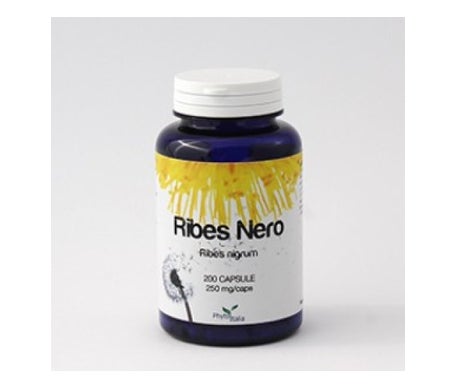 Casis de grosellas Negras 60 caps