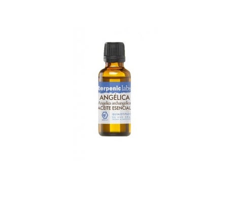 Terpenic Labs Angelica Raiz 30ml | Natural Doctor