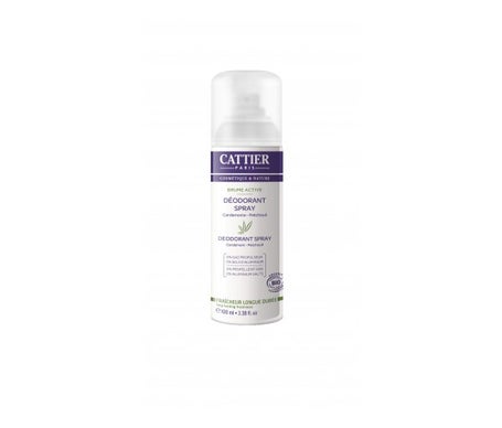 Catéter Desodorante Spray Bruma Activa 100 ml