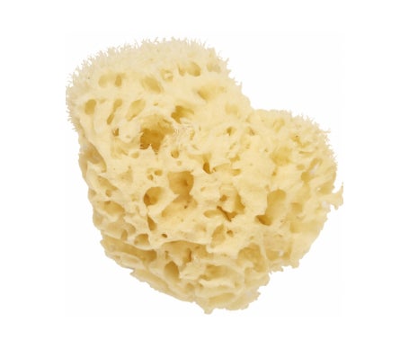 Cartel Paris Esponja Natural de Mar 11cm 1ud