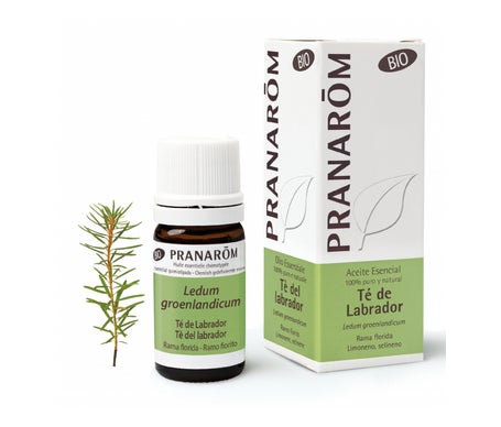 Pranarôm Aceite Esencial de Té de Labrador BIO 5ml