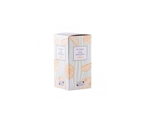Naturbotanic Air Freshner Flor Perfumada Naranja 90 Ml