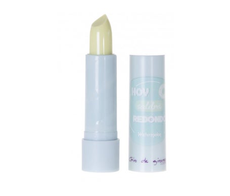 Gio de Giovanni Bálsamo Labial Stick Watermelon 1ud