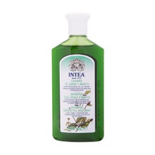 Intea Intea Green Tea &amp; Mint Shampoo 250 ml