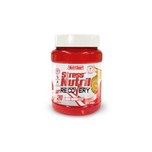 Nutrisport Stressnutril Recuperador Naranja 800g