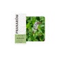 Menta Poleo 10 ml Aceite Esencial