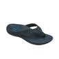 Scholl Ryder Nr. 44