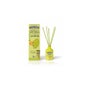 The Fruit Company Ambientador Mikado Melon 40 ml