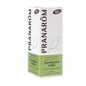 PranarÌm olio essenziale di eucalipto radiata BIO 10ml