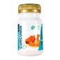 GHF Curcumin plus 60 Capsules 550mg