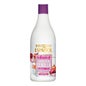 Instituto Español Champú Antioxidante Extracto de Cebolla 750 ml