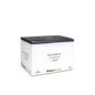 Prisma Natural Glutamina D-Ribosa MSM 15 Sobres