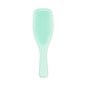 Tangle Teezer The Wet Detangler Hairbrush Mint Karma 1ud