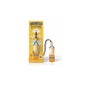 The Fruit Company Ambientador Coche Mango 6 5 ml