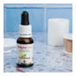 Sura Vitasan Aceite Oregano 15 ml