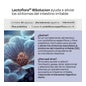 Lactoflora IBSolución Sabor Frambuesa 28 sobres