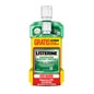 Listerin Teeth Gum Mouthwash 2 pieces