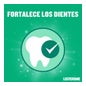 Listerine Enjuague Bucal Protección Dientes y Encías Menta 500+250ml