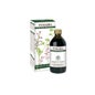 Dr. Giorgini Fumaria Extracto Integral 200ml