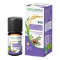 Naturactive Lentisq Pist He Bio10