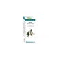 Equisalud Bio Essential Oil Niaouli 10 ml